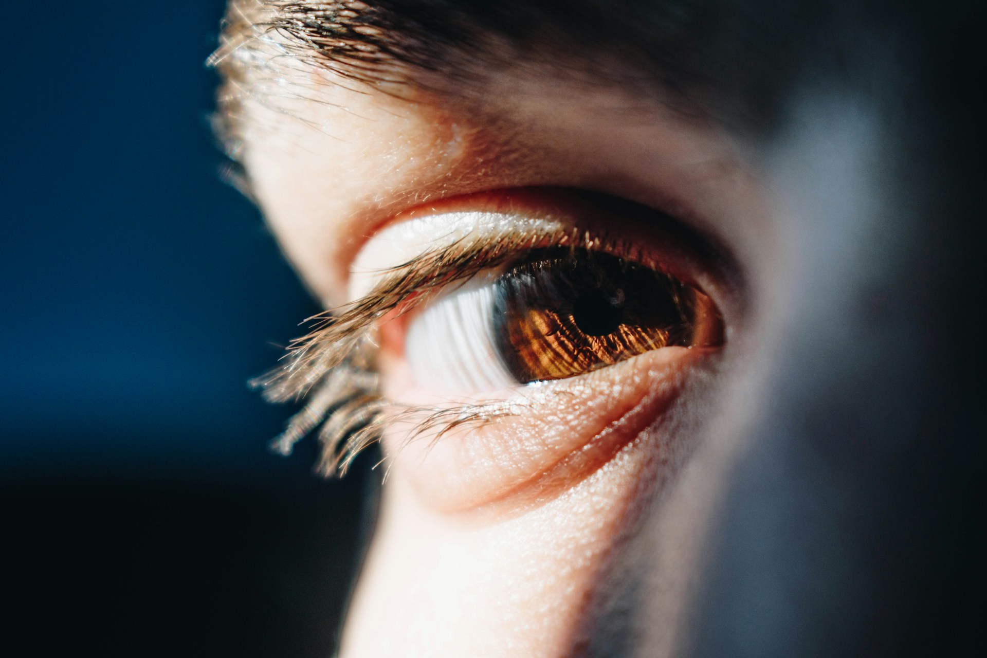 Close-up of an eye and eyelid illustrating the area where brief eyelid muscle twitches occur.