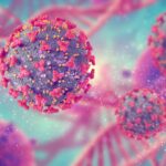 What Is Immune Response