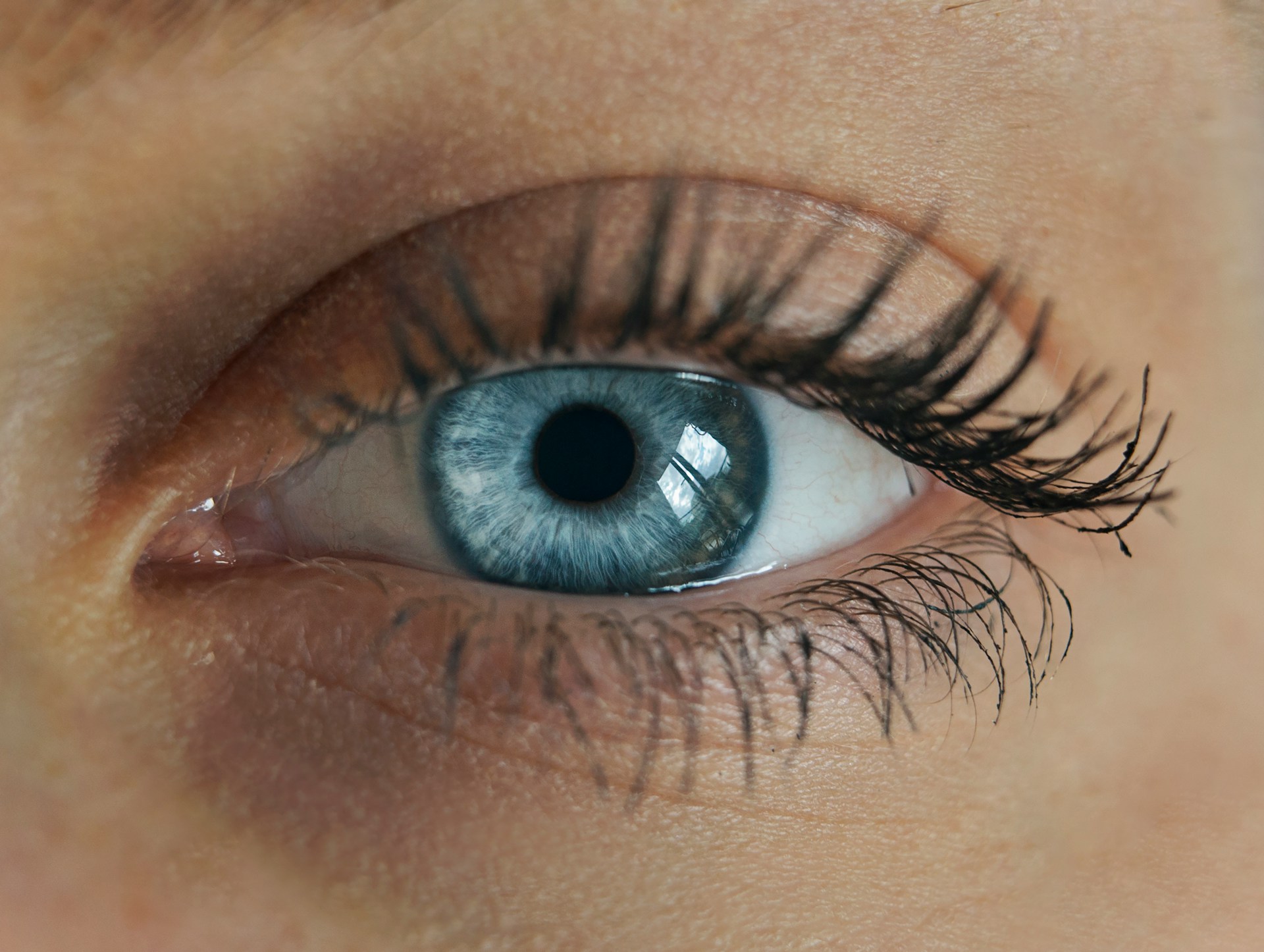Close-up of a human eye with visible eyelashes and a reflective tear film.